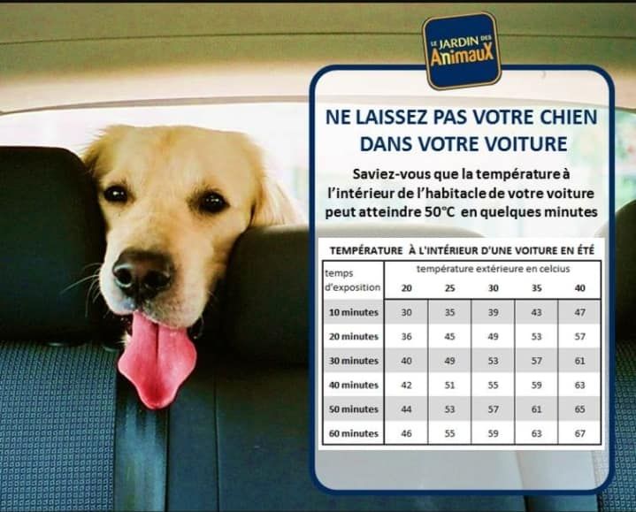 La chaleur = VIGILANCE 