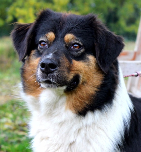 In love Du Tipi Farfelu