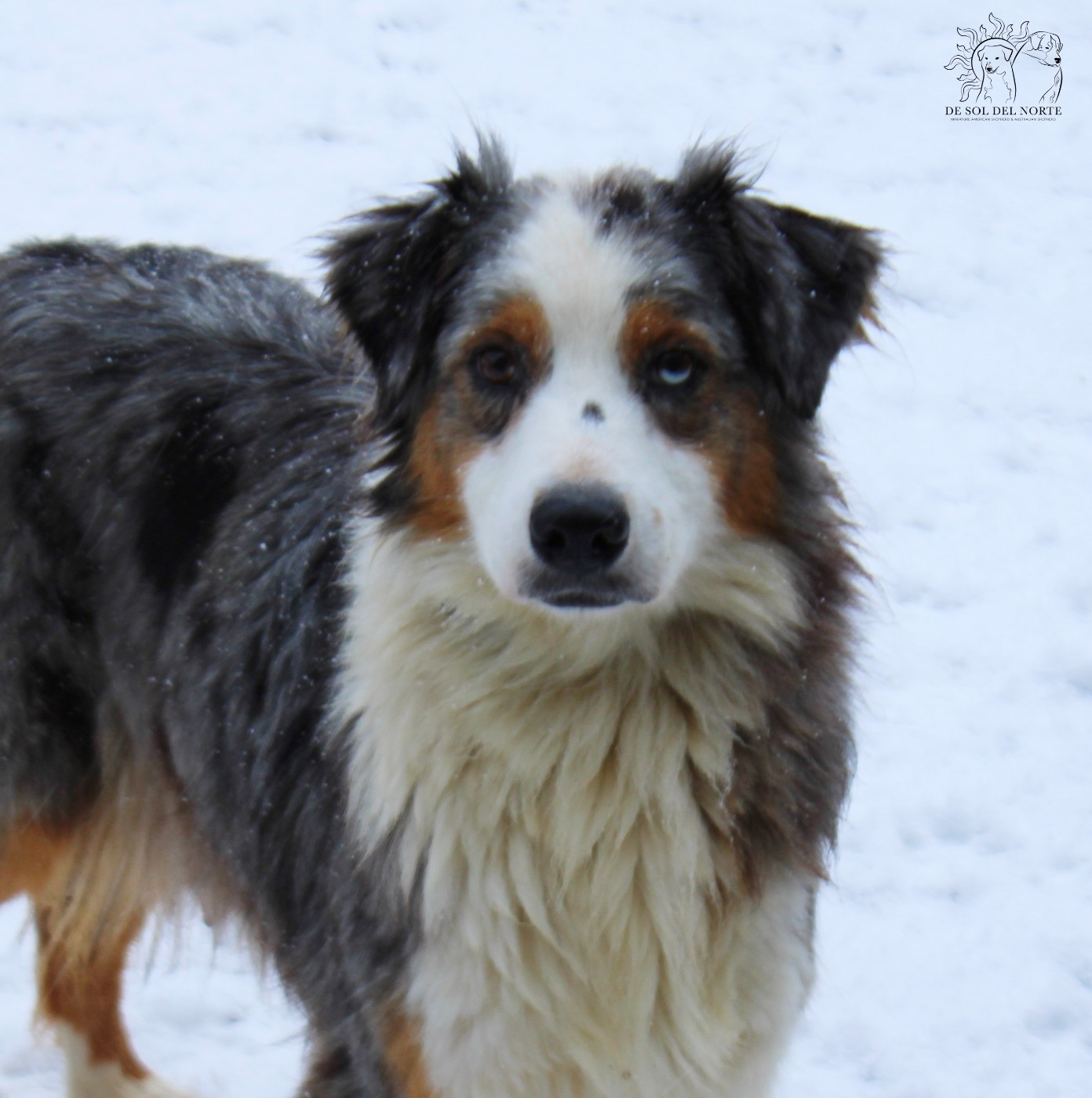 Ready for love roxana De Sol Del Norte