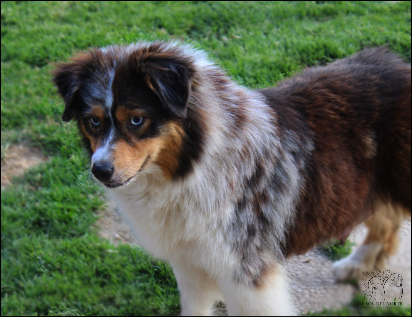 Totally girl or not blue De Sol Del Norte