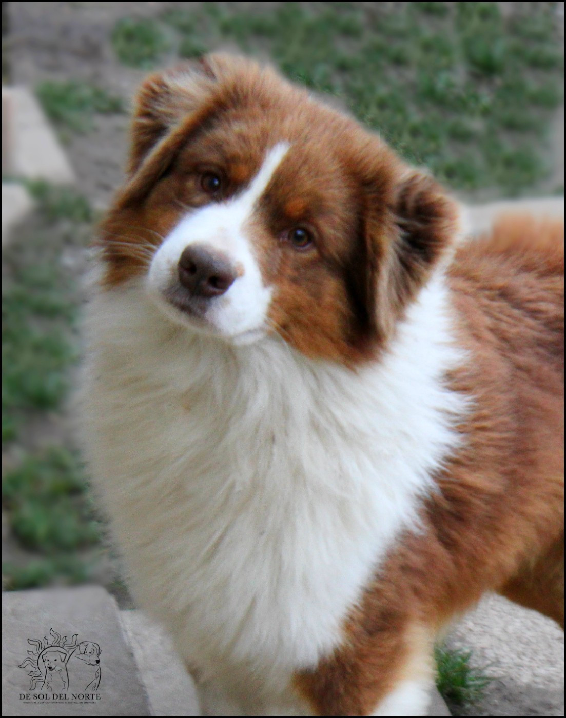 Uno only me De Sol Del Norte