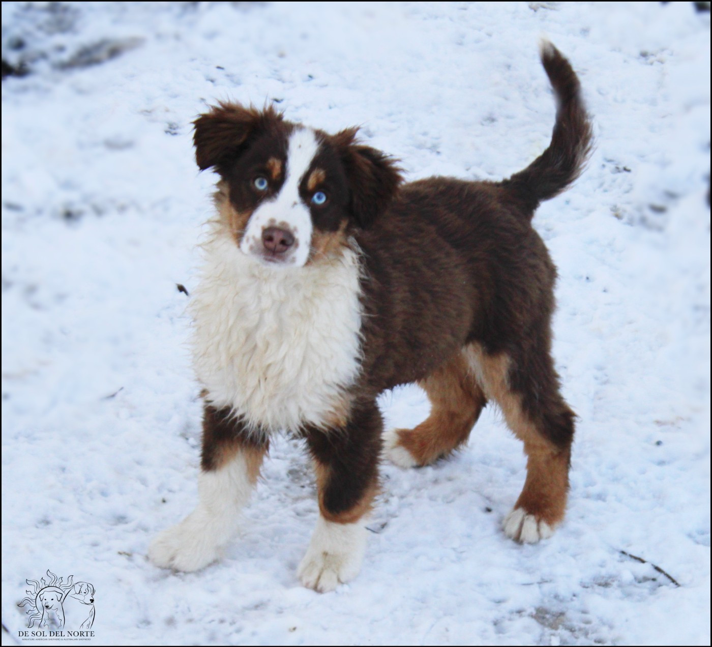 A baby love amande De Sol Del Norte