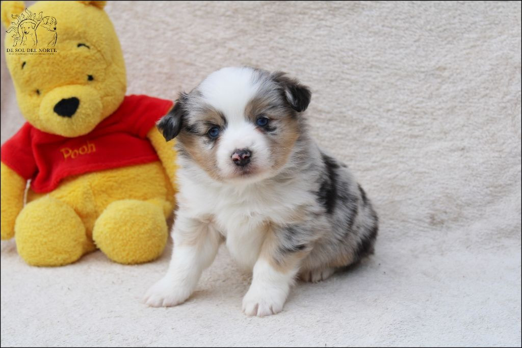 Vivo por amor vanille De Sol Del Norte